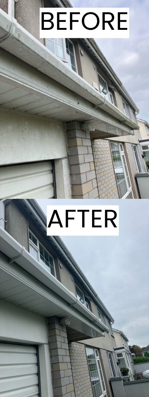 fascia cleaning in Bruff