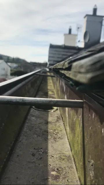gutter cleaning in Patrickswell